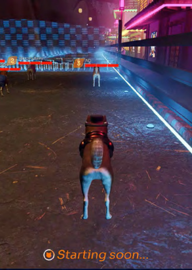 Lap Dogs Tournament Mode Just Dropped — Here's What You Need to Know