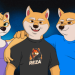 Meet Reza: The Heart of the Persian Shiba Inu Community